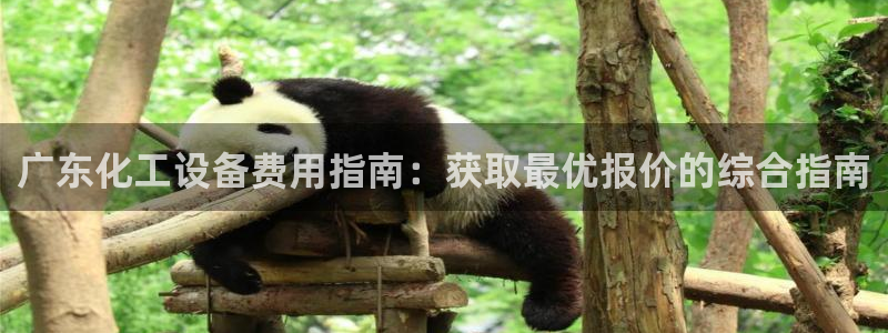 天辰平台注册登录地址怎么改
