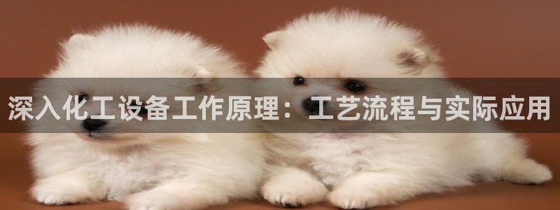 天辰平台登录注册失败
