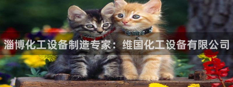 天辰平台用户登录不上怎么办