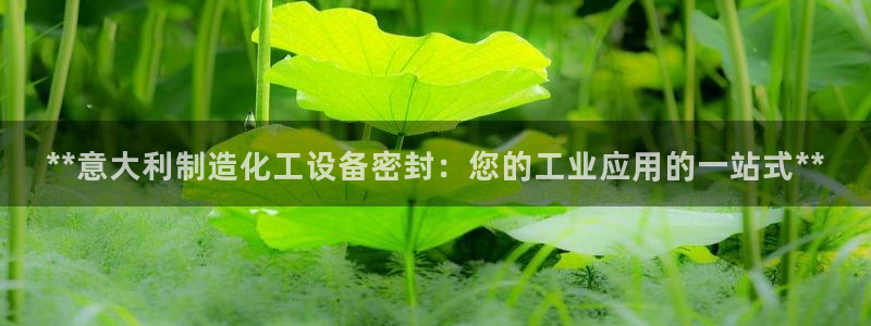 天辰平台胡 5O6917 天辰