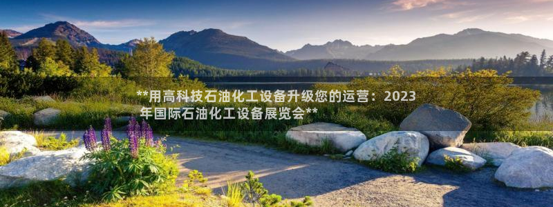 天辰平台用户