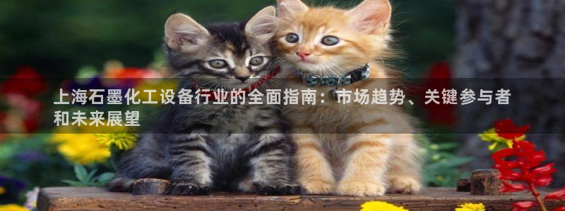天辰娱乐都是干什么的