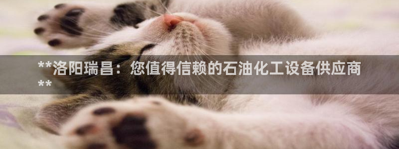 天辰商盟创业平台
