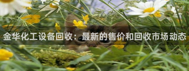 天辰平台用户登录入口在哪