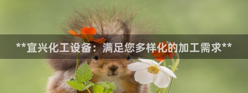 天辰娱乐的老板是谁呀