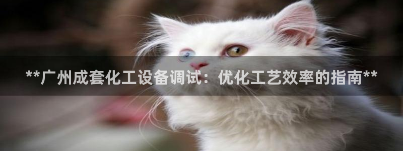 天辰测速登录