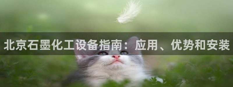 天辰平台招商1111是什么活动