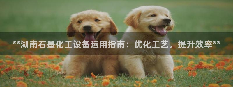 天辰平台注册稳定通道推荐