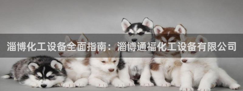 天辰平台注册地址怎么改