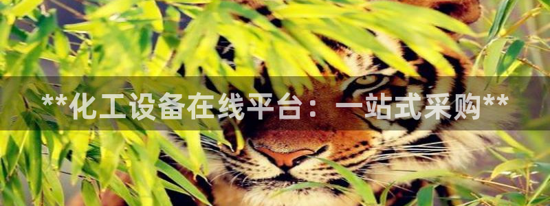 天辰平台木 411O31 天辰