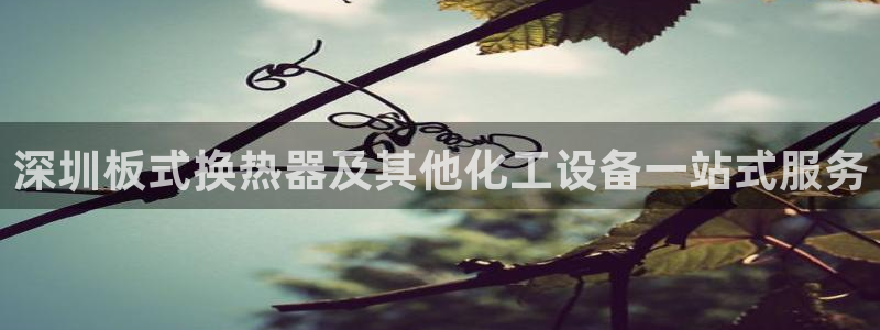 天辰平台毡3300