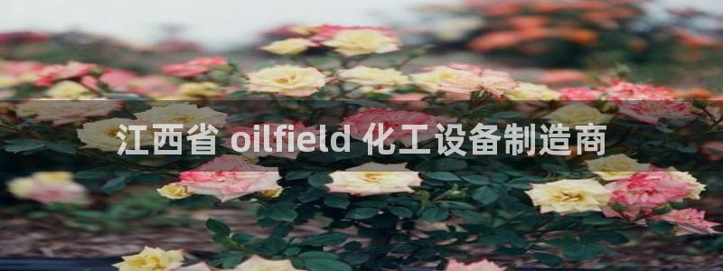 天辰平台会员登录失败
