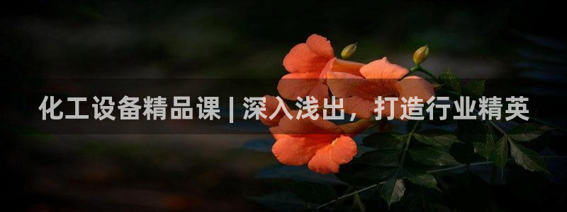 天辰平台用户登录不上去