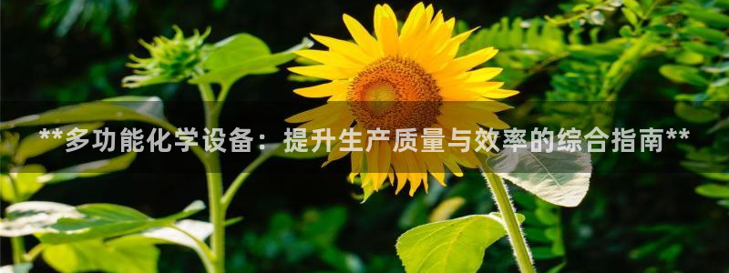 天辰正规注册通道安全