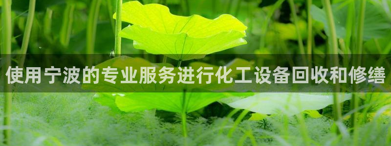 天辰商盟创业平台