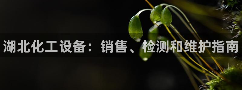 天辰平台你的专属平台在哪里