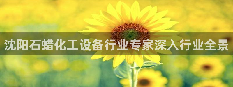 天辰娱乐都是干什么的呀