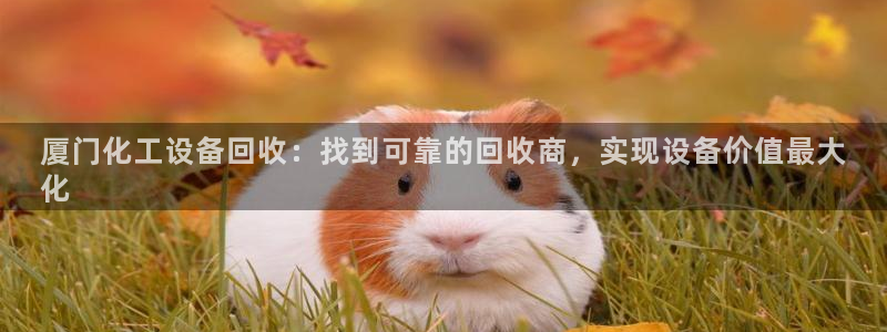 天辰平台登录注册失败：厦门化工设备回收：找到可靠的