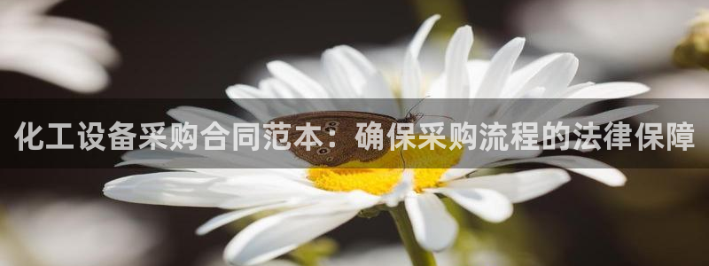 天辰平台会员：化工设备采购合同范本：确保采购流程的