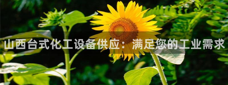 天辰注册链接是什么