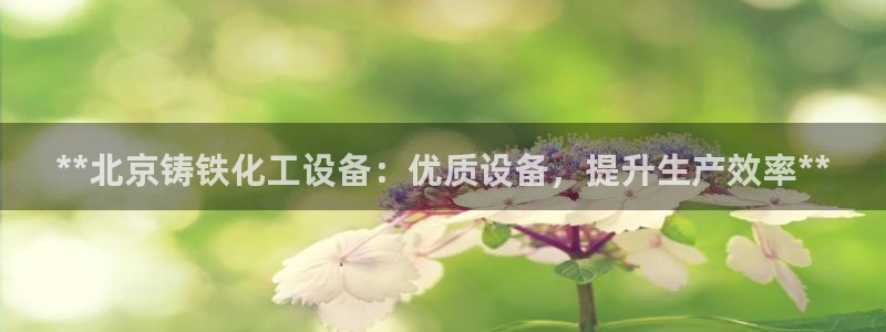 天辰平台用户登录失败什么原因：**北京铸铁化工设备：优质设备