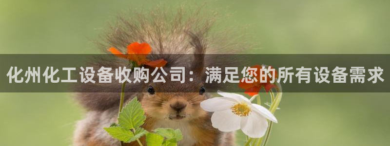 天辰娱乐平台账号注册地址是多少啊：化州化工设备收购公司：满足