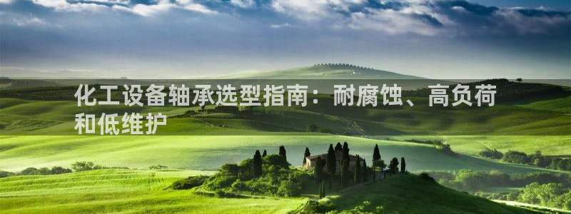 天辰平台去 58534I 平台：化工设备轴承选型指