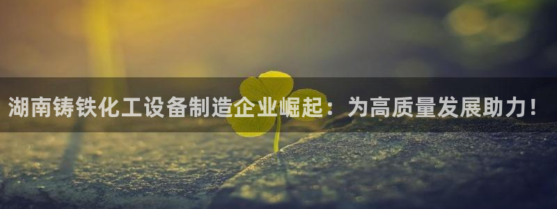 天辰平台深7O777：湖南铸铁化工设备制造企业崛起