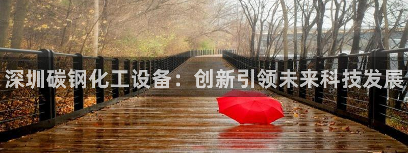 天辰正规注册通道安全：深圳碳钢化工设备：创新引领未