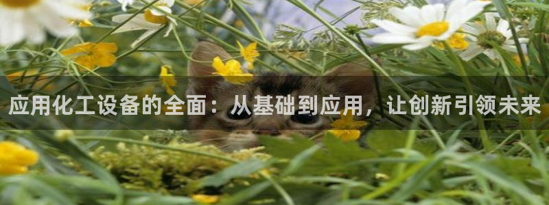 天辰平台搜索 58534I 平台