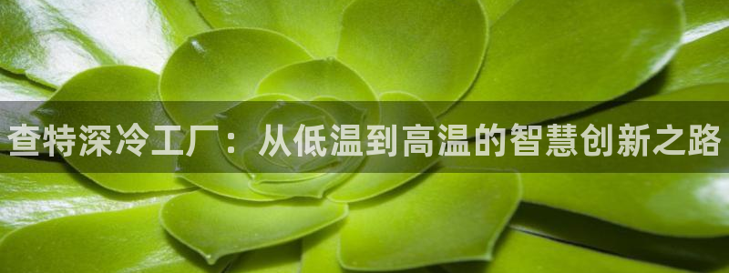 天辰娱乐是天系列吗：查特深冷工厂：从低温到高温的智