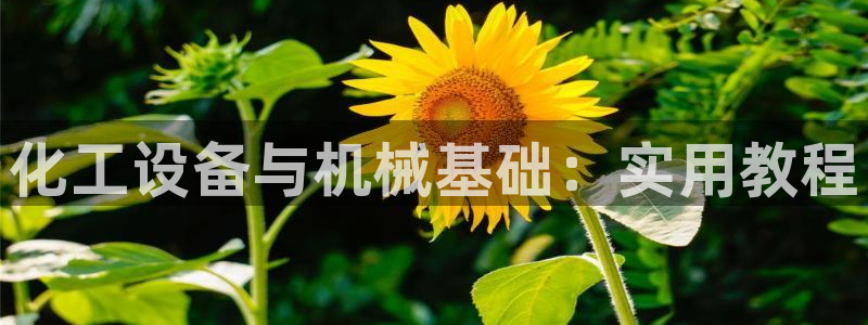 天辰娱乐平台账号注册地址是多少啊