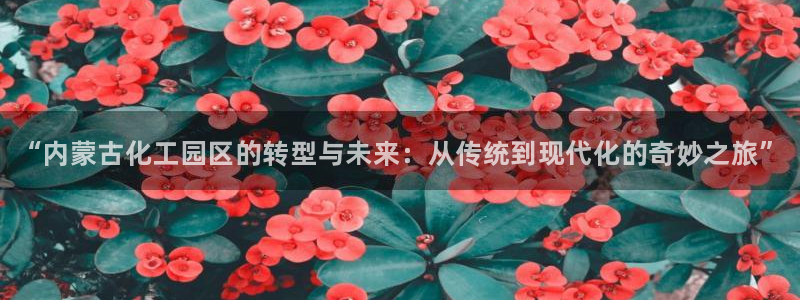 天辰娱乐平台是黑网吗