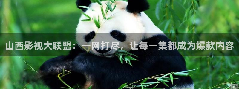 老司机影院官网